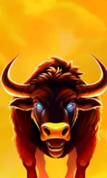 Big Wild Buffalo 2